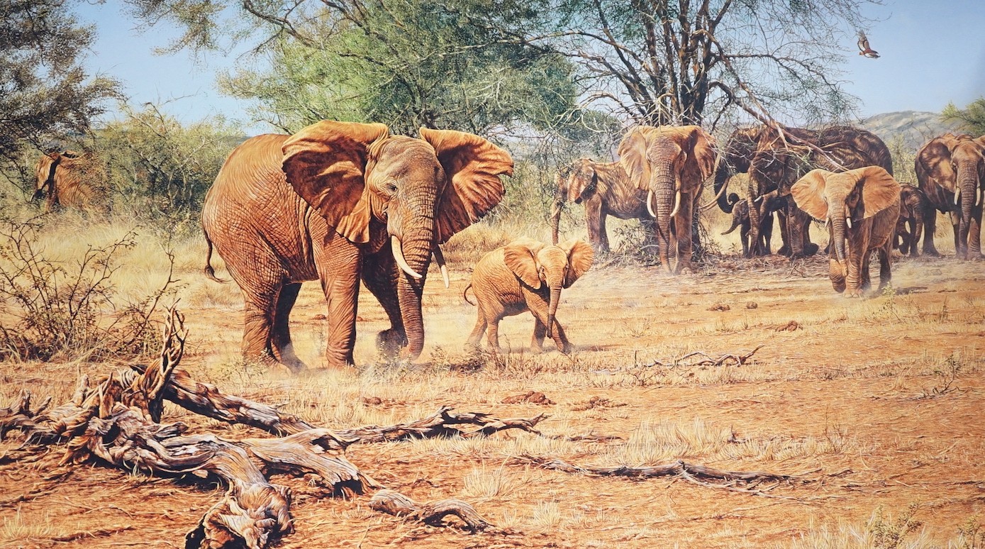 Alan M. Hunt, a limited edition print, Elephants, signed in pencil, 71 x 117cm, linen backed, unframed.